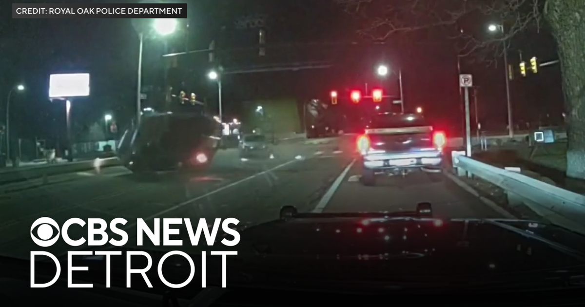 Dashcam video shows suspected impaired driver hit truck in Royal Oak ...
