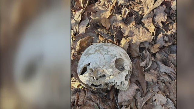 Police flashing lights at crime scene 