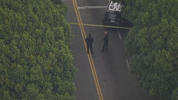 2 US National Guard members shot near White House, condition unclear 