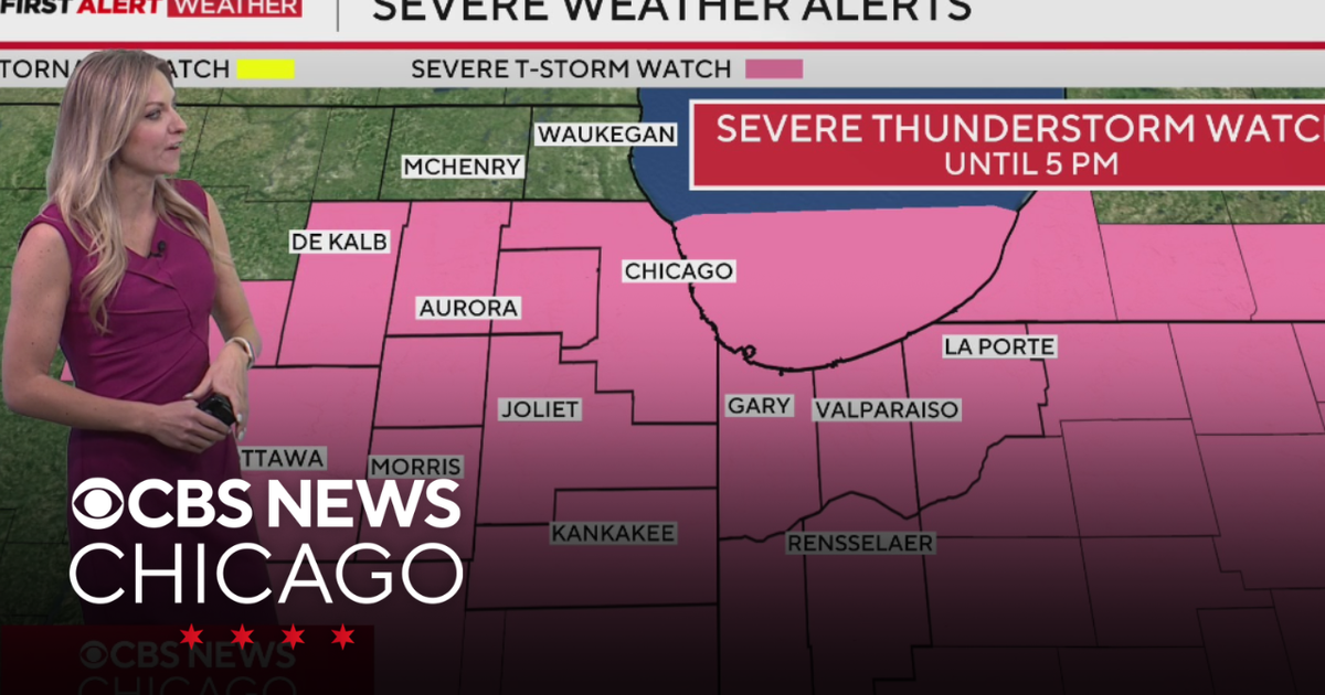 Severe thunderstorm warnings in effect for Chicago area - CBS Chicago