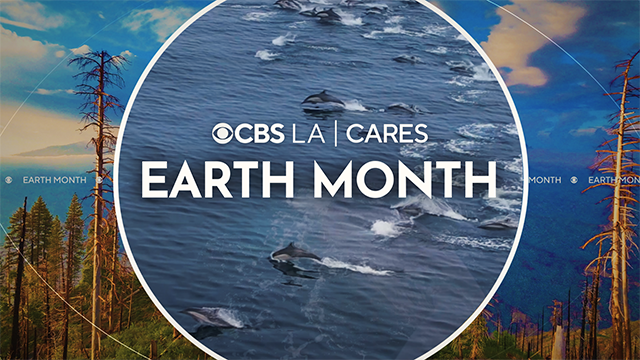 thumb-earth-month-cbsla-cares-1.png 