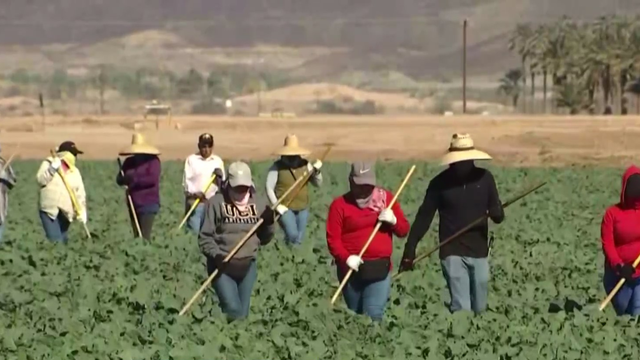 women-farmworkers-california.png 