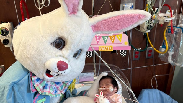 Easter Bunny visits NICU patients at Silver Cross Hospital in New Lenox 