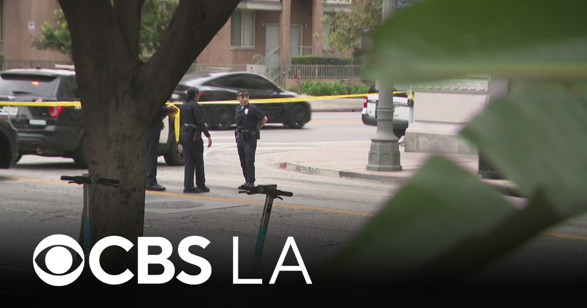 Man arrested for downtown Los Angeles stabbing also wanted for 2025 ...