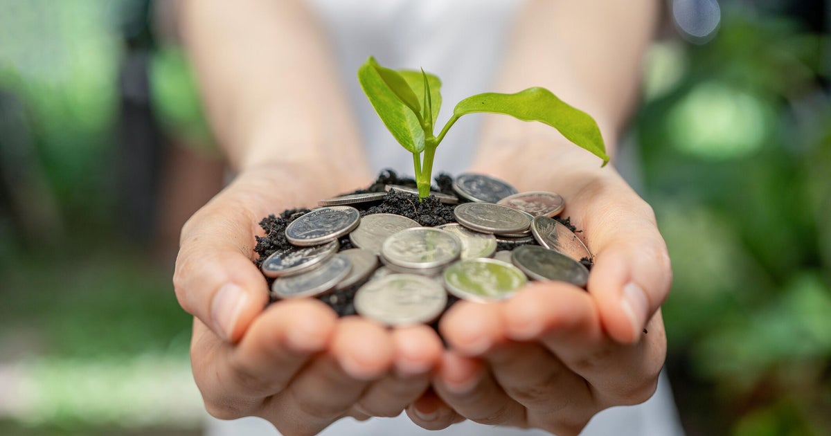 Here's how much interest an $80,000 money market account can earn this year