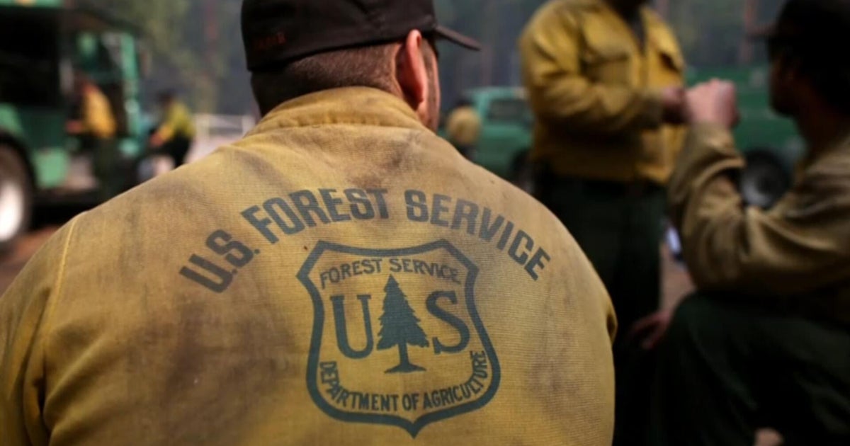 Trump administration to move U.S. Forest Service HQ and shutter research facilities in 31 states