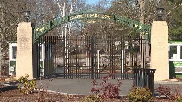 Capron Park Zoo 