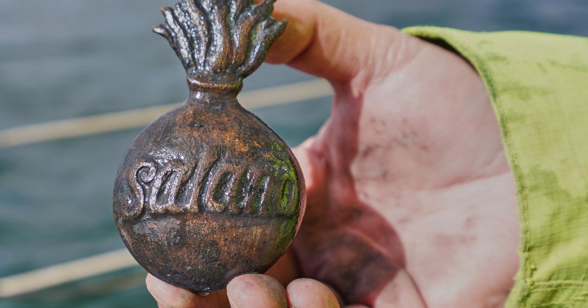 Wreck of Danish warship, remains of sailor found 225 years after attack by Horatio Nelson's British fleet