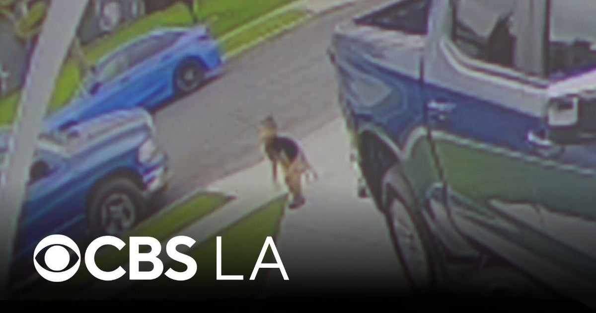 Coyote connected to several attacks in Los Angeles County