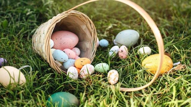 Easter eggs in grass against blurred green background Spring holidays concept,Belarus 