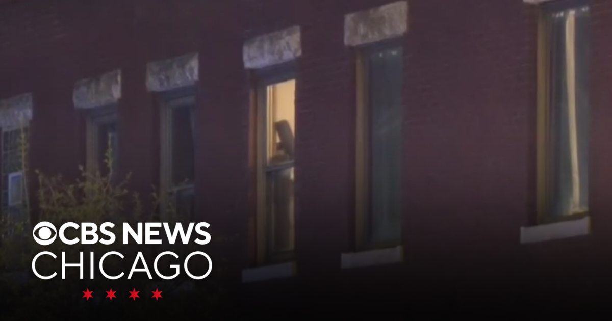 Man arrested after home invasion in North Center - CBS Chicago