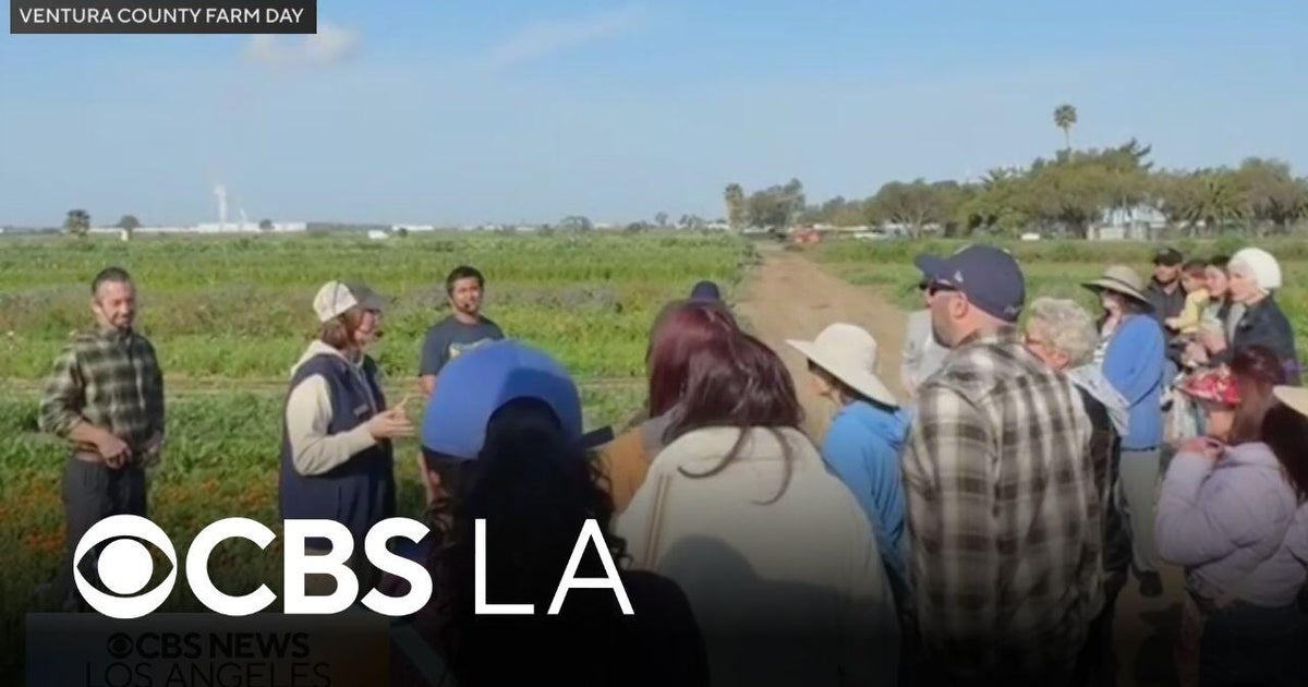 The 13th Annual Ventura County Farm Day allows you to connect with local agriculture