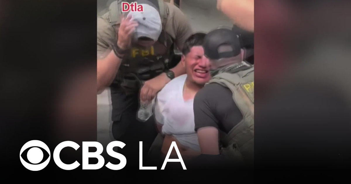 Man accused of punching ICE agent during downtown LA immigration sweep ...