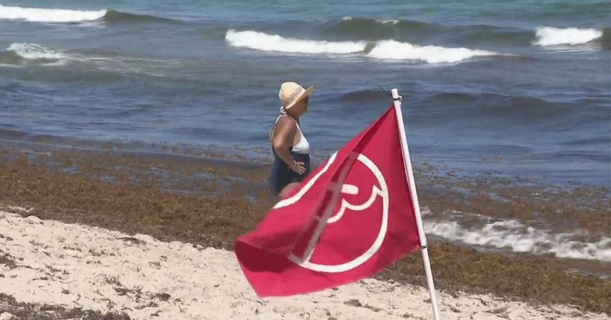Dangerous rip currents: Dozens rescued at South Florida beaches this ...