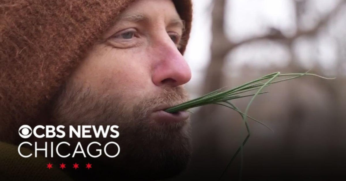 Wisconsin man aims to teach people about foraging, living environmentally friendly