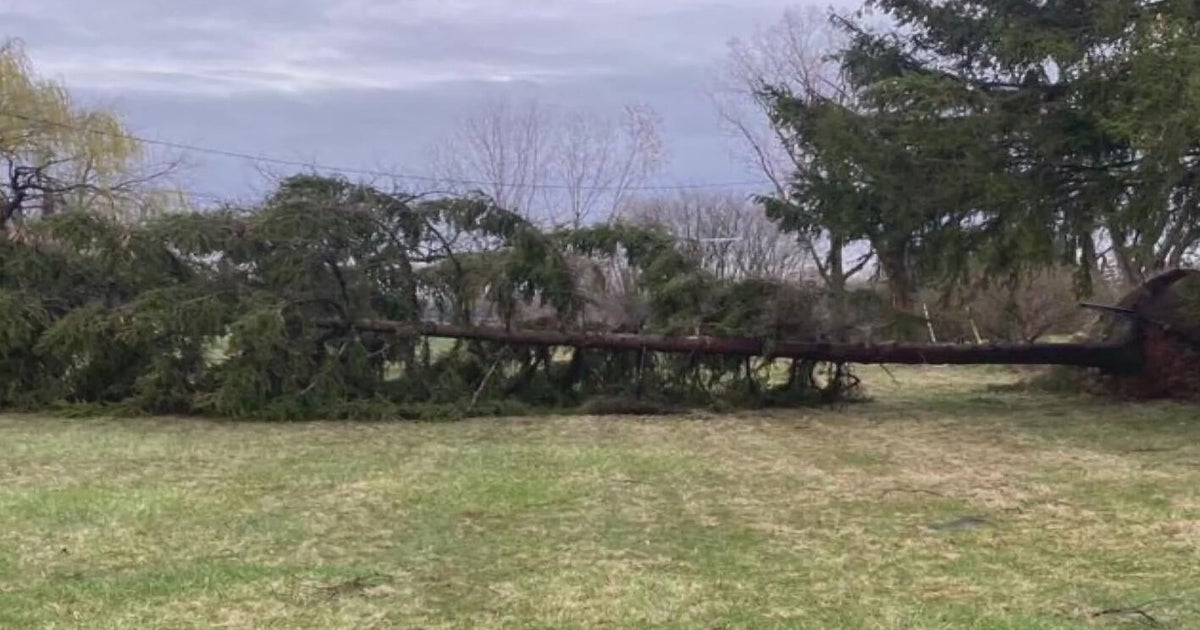 EF-1 tornado touches down in Southeast Michigan - CBS Detroit