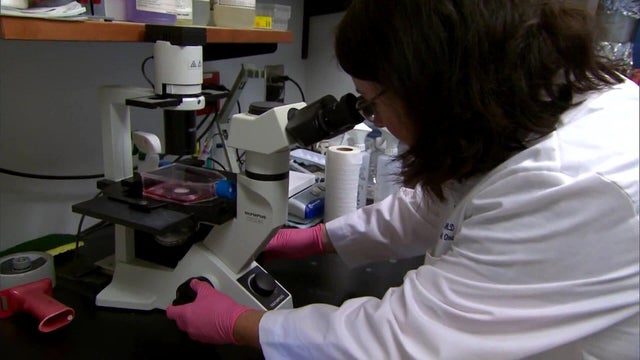 Woman uses microscope 