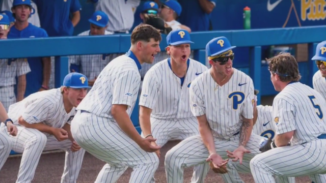pittbaseball.png 