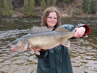 Michigan DNR reports finding 15-pound walleye in Muskegon River