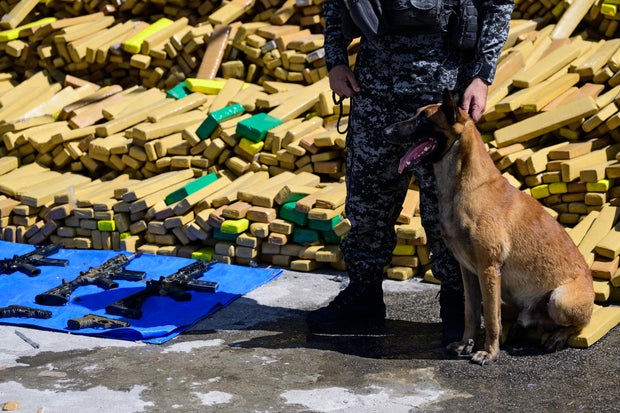 Hulk, a police dog that took part in an operation in which 48 tons of marijuana were seized, poses in front of packages containing the drug and weapons in Rio de Janeiro on April 8, 2026. 