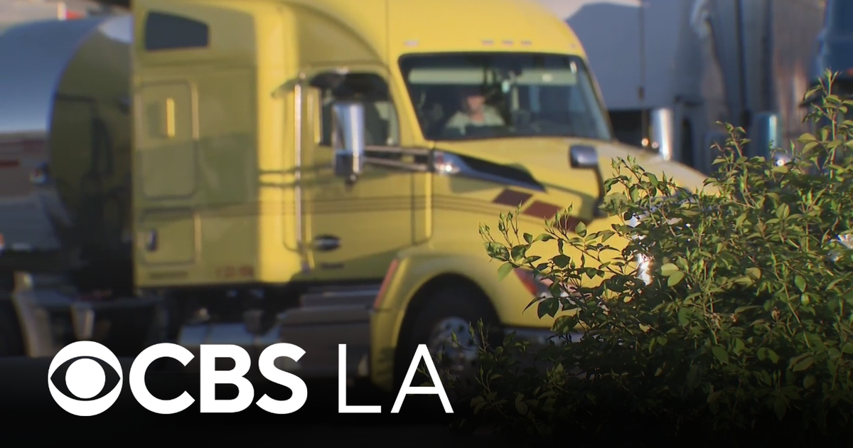 California's trucking industry struggling with impact of revoked commercial driver's licenses
