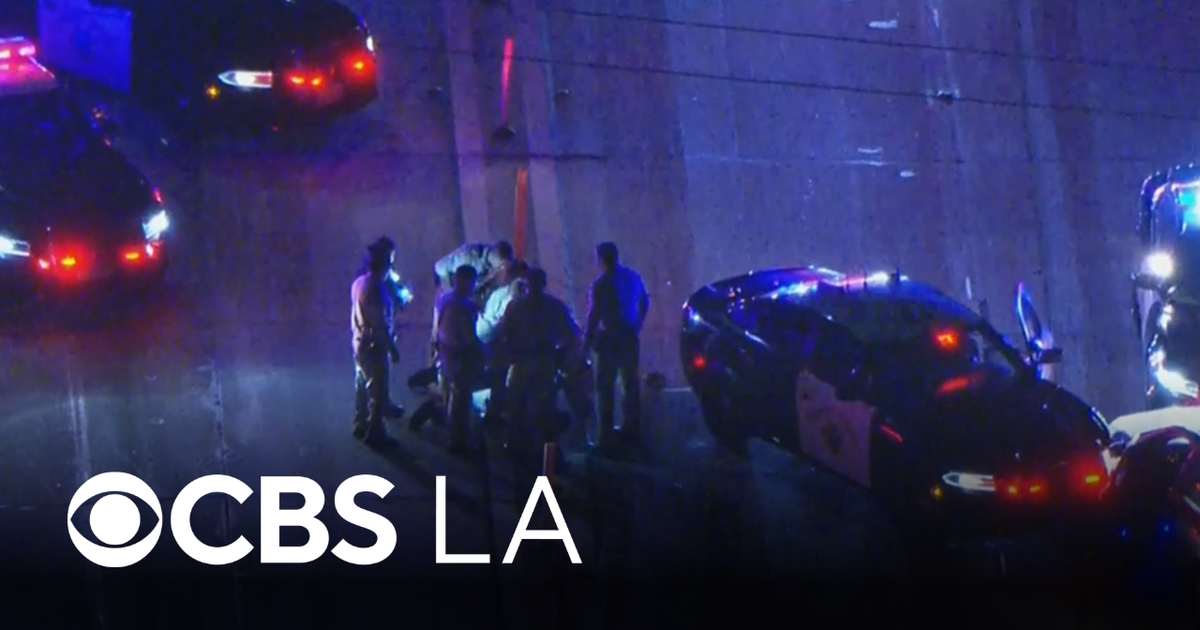 Suspect fights officers on 405 Freeway after police pursuit through LA ...