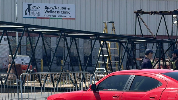 paws-philadelphia-animal-shelter-collapse.jpg 
