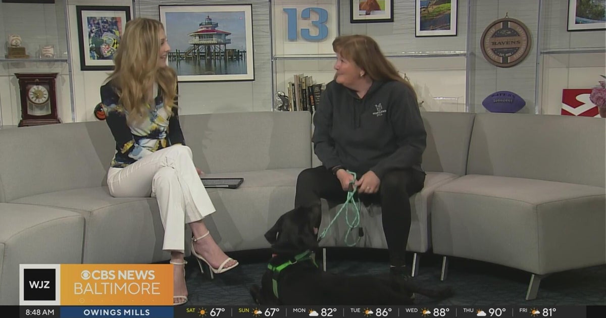 Maryland SPCA hosts National Pet Day adoption event in Howard County