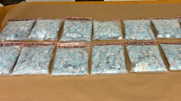 14,000 bags of fentanyl found in the woods in New Castle County, Delaware 