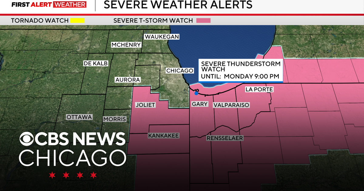 Parts of Chicago area, NW Indiana under Severe Thunderstorm Watch
