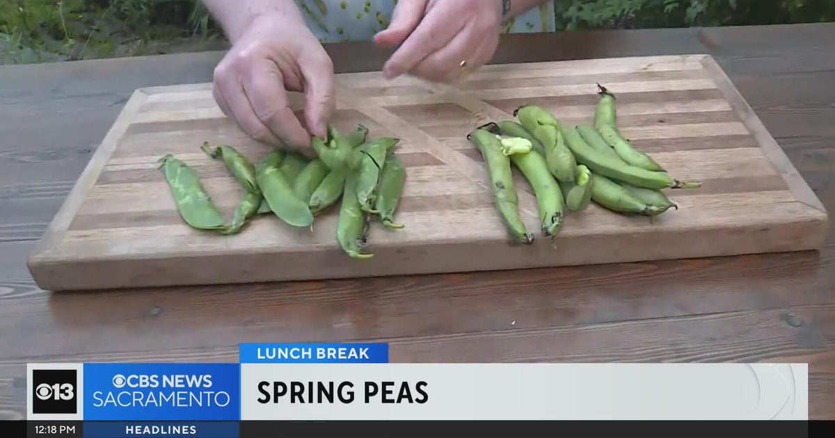 Spring peas .. Lunch Break with Michael Marks