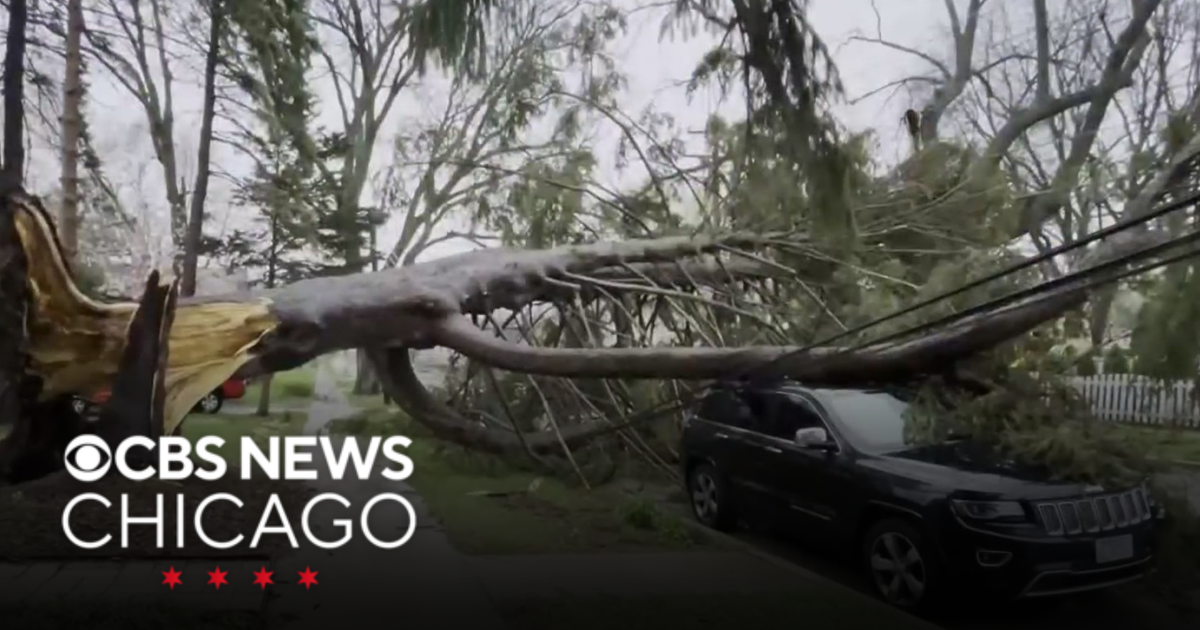 Severe storms leave flooding, wind damage across Illinois