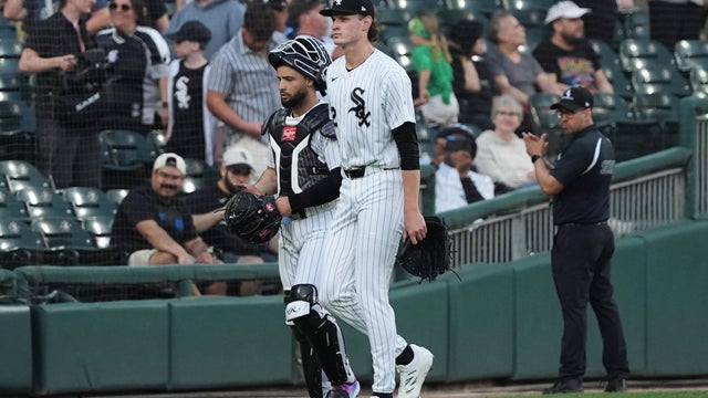 Rays White Sox Baseball 