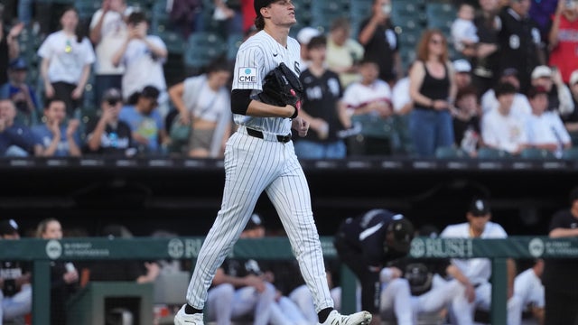Rays White Sox Baseball 