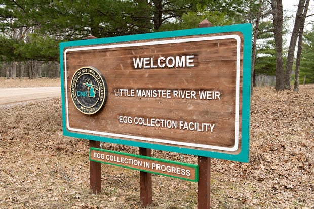 little-manistee-river-sign.jpg 