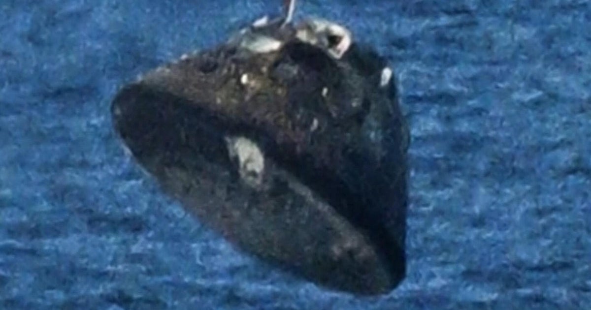 Artemis II reentry image raises questions online about heat shield