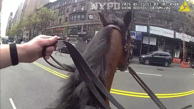 nypd-horse-catches-pursesnatcher-hi-res-still.jpg 