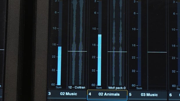 Mixing animal recordings with music 