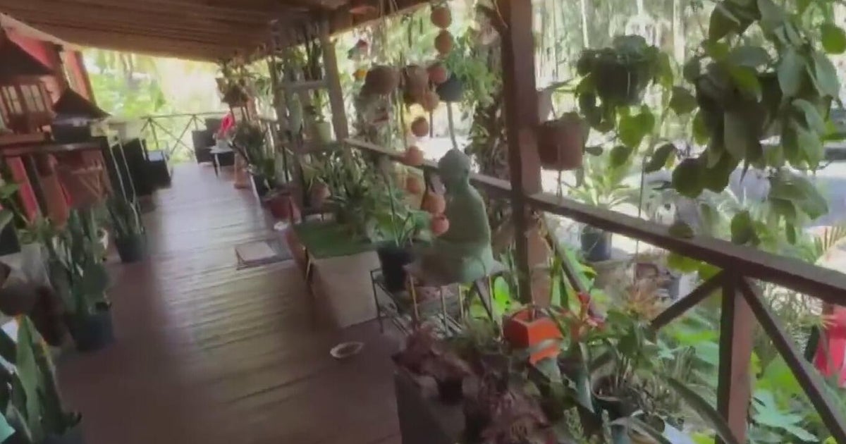 Davie nursery gets thousands of dollars worth of plants stolen
