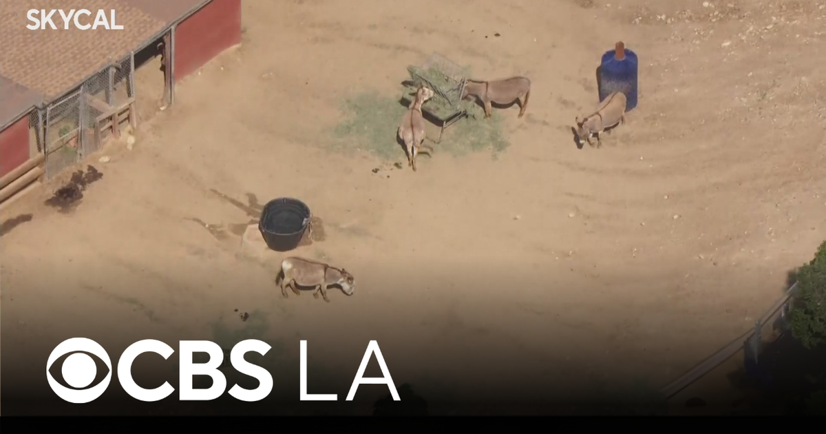 Santa Clarita History Center | Look At This! - CBS Los Angeles