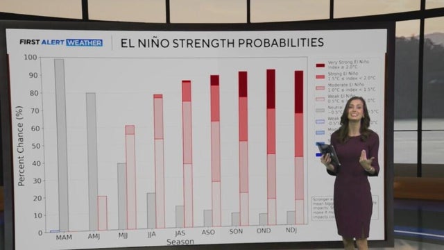 a graphic showing that el nino strength probabilities are about 25% for each category. 
