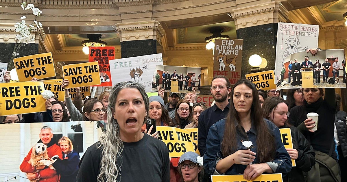Protesters converge on Wisconsin governor's office seeking release of beagles