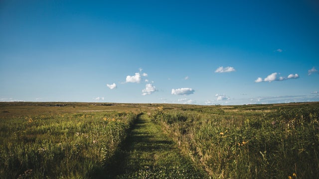Path through the Prarie 