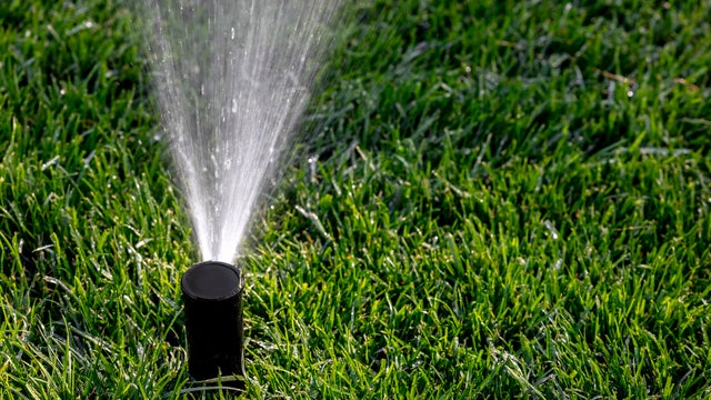 Close-up of a sprinkler and green grass. 