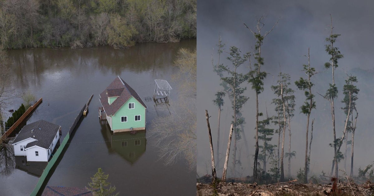 Florida drought fuels wildfires as chunks of ice smash into Michigan homes after major flooding