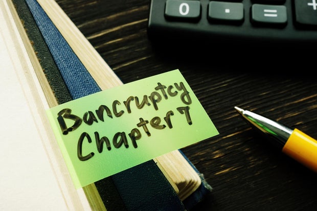 Bankruptcy section  7 bookmark successful  the book. 