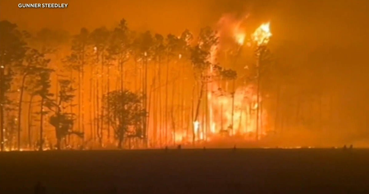 Massive wildfires in Georgia destroy dozens of homes