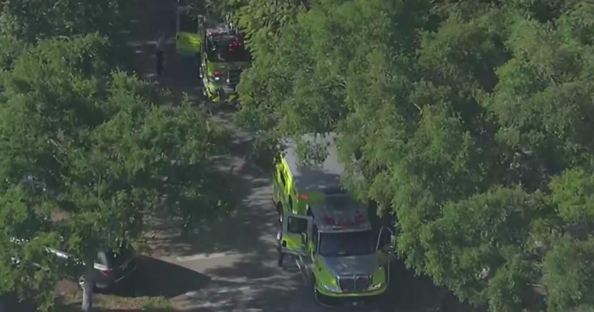 Father detained after deputies say he killed his son after a domestic dispute in Palmetto Bay