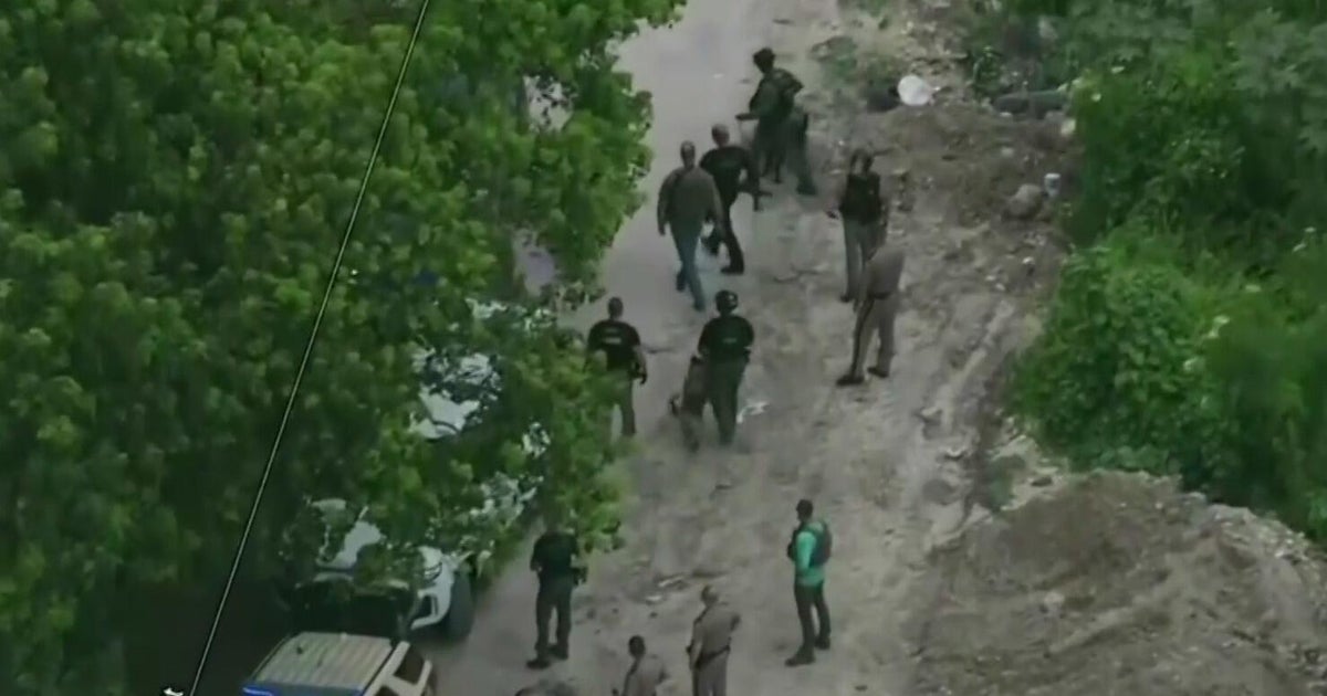 Video shows dramatic Hialeah takedown after suspect crashes, tries to flee police