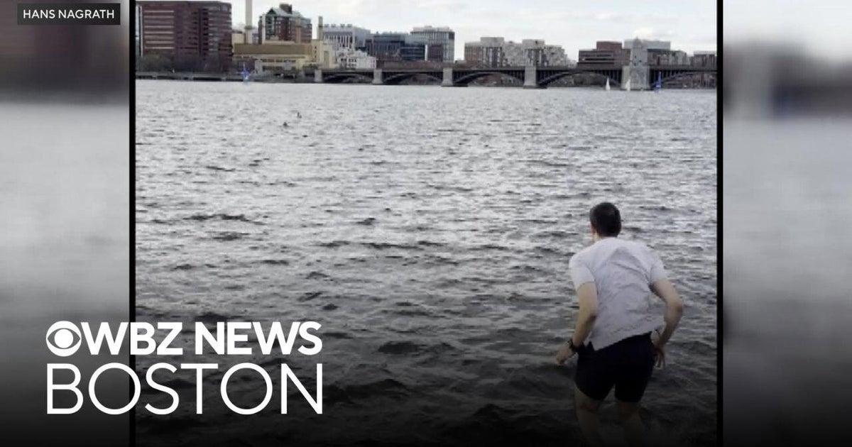 Caught on video: Boston man jumps into freezing Charles River to rescue dog